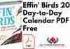 Effin Birds 2023 Day-to-Day Calendar PDF