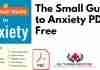 The Small Guide to Anxiety PDF