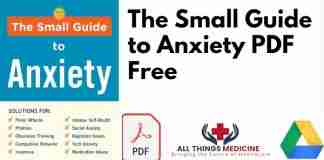 The Small Guide to Anxiety PDF