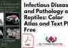 Infectious Diseases and Pathology of Reptiles PDF