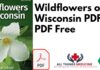 Wildflowers of Wisconsin PDF