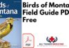 Birds of Montana Field Guide PDF