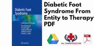 Diabetic Foot Syndrome From Entity to Therapy PDF