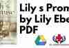 Lily s Promise by Lily Ebert PDF