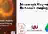 Microscopic Magnetic Resonance Imaging PDF