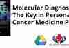 Molecular Diagnostics The Key in Personalized Cancer Medicine PDF