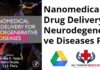 Nanomedical Drug Delivery for Neurodegenerative Diseases PDF