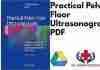 Practical Pelvic Floor Ultrasonography PDF