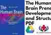 The Human Brain Prenatal Development and Structure PDF