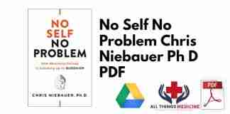 No Self No Problem Chris Niebauer Ph D PDF