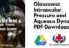 Glaucoma: Intraocular Pressure and Aqueous Dynamics PDF