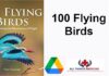 100 Flying Birds pdf