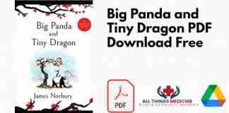Big Panda and Tiny Dragon PDF