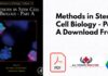 Methods in Stem Cell Biology - Part A PDF