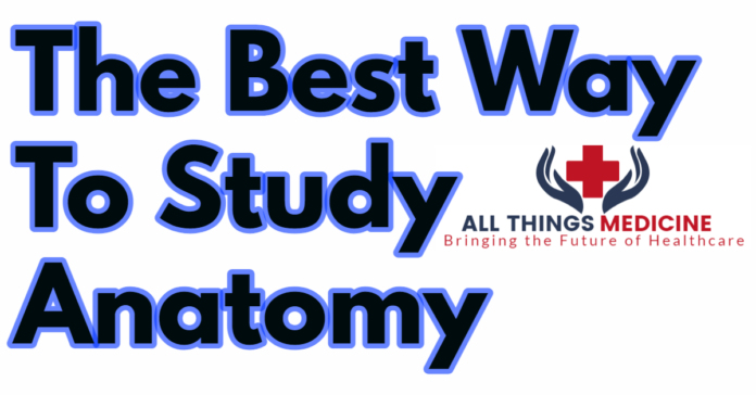the best way to study for anatomy exam (1)
