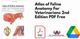Atlas of Feline Anatomy For Veterinarians 2nd Edition PDF