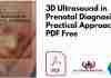 3D Ultrasound in Prenatal Diagnosis: A Practical Approach PDF