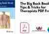 The Big Back Book: Tips & Tricks for Therapists PDF