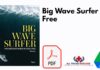 Big Wave Surfer PDF