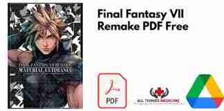 Final Fantasy VII Remake PDF
