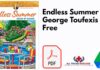 Endless Summer by George Toufexis PDF