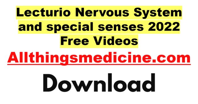 lecturio-nervous-system-videos-2022-free-download