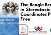 The Beagle Brain in Stereotaxic Coordinates PDF Free Download