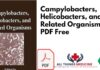 Campylobacters Helicobacters and Related Organisms PDF Free Download