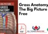 Gross Anatomy: The Big Picture PDF Free Download