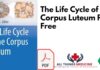 The Life Cycle of the Corpus Luteum PDF