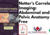 Netters Correlative Imaging: Abdominal and Pelvic Anatomy PDF Free Download