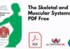 The Skeletal and Muscular Systems PDF