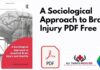 A Sociological Approach to Brain Injury PDF
